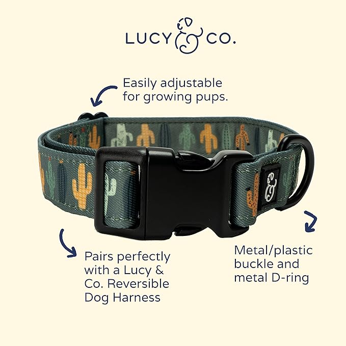 Lucy & Co. Looking Sharp Dog Collar - Image 2