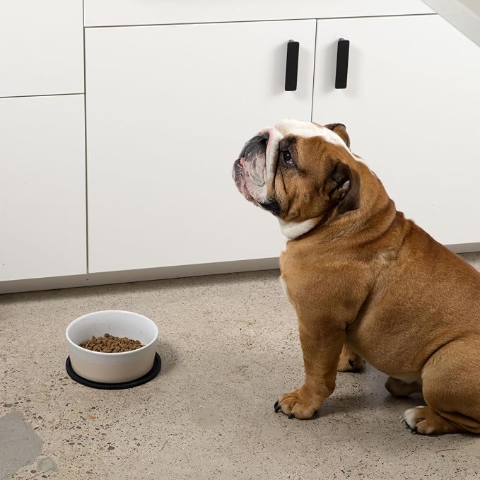 Waggo Habit Silicone Dog Placemat – Set of 2 Modern Heavyweight Silicone Dog - Image 8