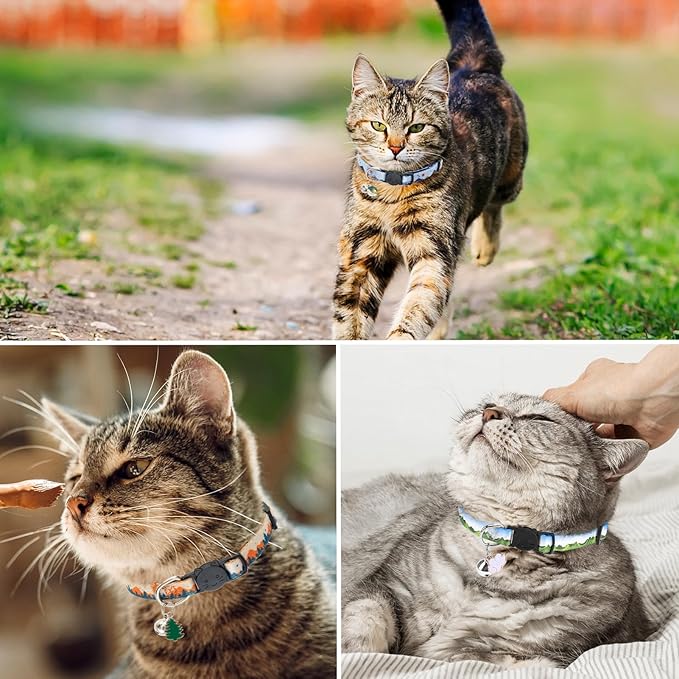 SCENEREAL Breakaway Cat Collars - Image 7
