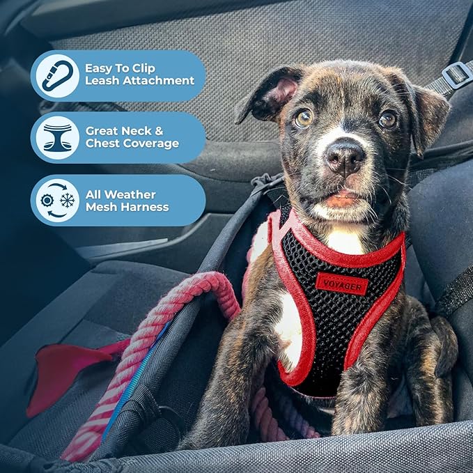 Best Pet Supplies Voyager Step-in Air All Weather Mesh Harness and Reflective - Image 5