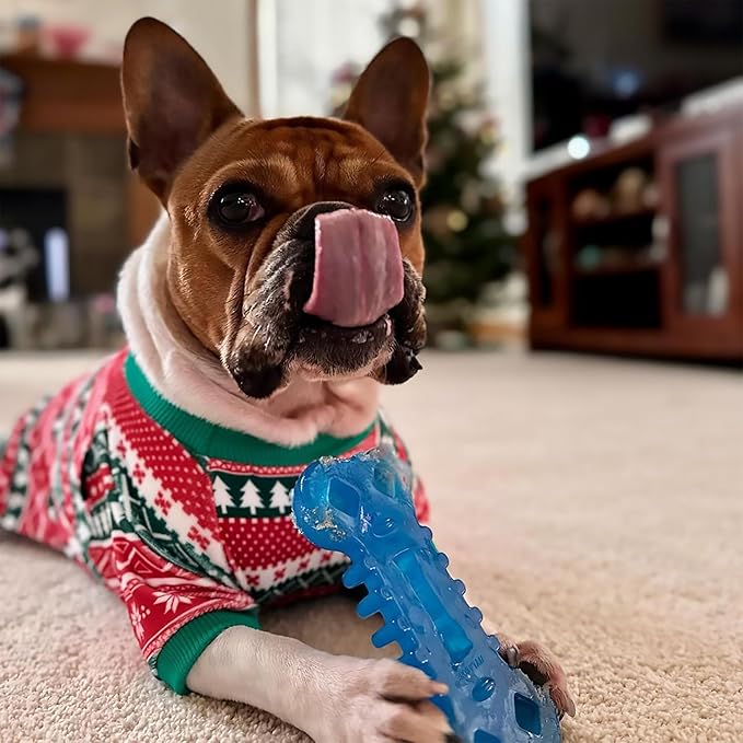 Nylabone Flexi Chill & Chew Toy - Image 2