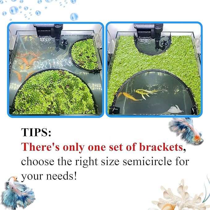 Floating Plant Corral for Aquarium, Fish Tank Accessories to Protects Duckweed - Image 2