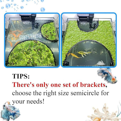 Floating Plant Corral for Aquarium, Fish Tank Accessories to Protects Duckweed - Image 2