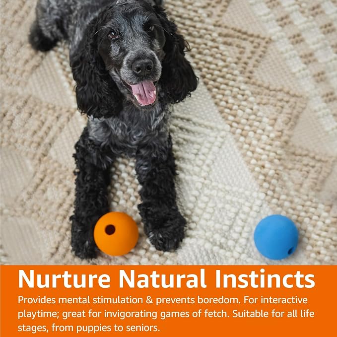 Amazon Basics Interactive Bouncy Durable Rubber Dog Toy Balls, 2.5 inch - Image 8