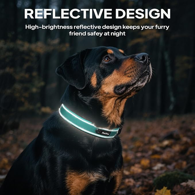 PetiFine Dog Collars for Medium Dogs, Neoprene Padded and Adjustable, - Image 5