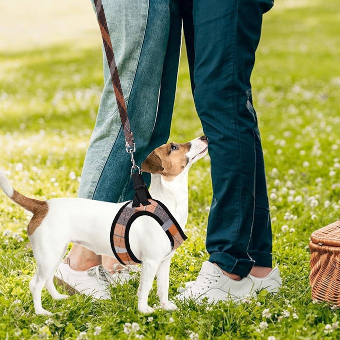 PUPTECK Adjustable Dog Harness Collar and Leash Set Step in No Pull Pet Harness - Image 7