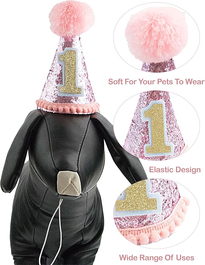 PET SHOW Small Dog Birthday Party Hat - Image 3
