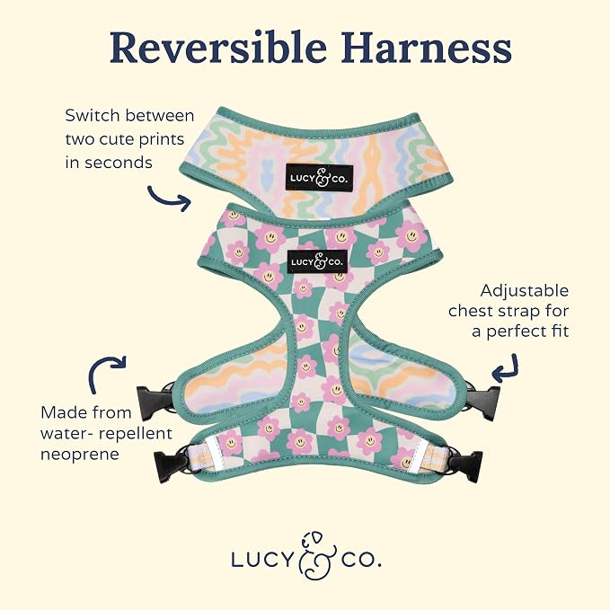 Lucy & Co. Cute Reversible Dog Harness Walking Halter - Image 5