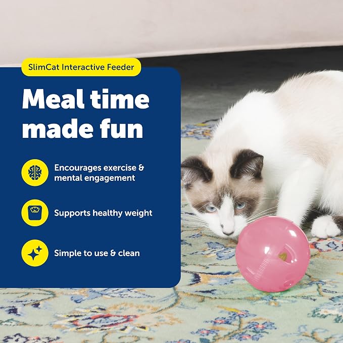 PetSafe SlimCat Interactive Feeder - Image 2
