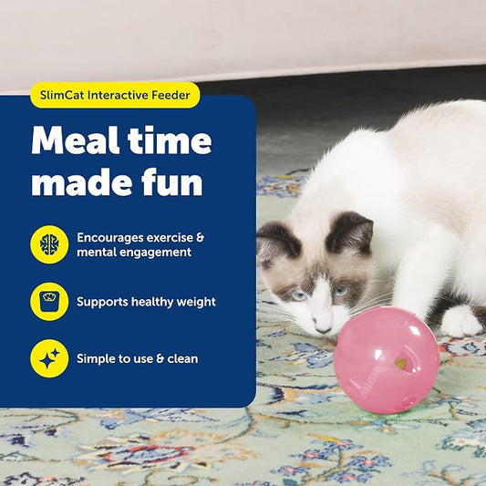 PetSafe SlimCat Interactive Feeder - Image 2