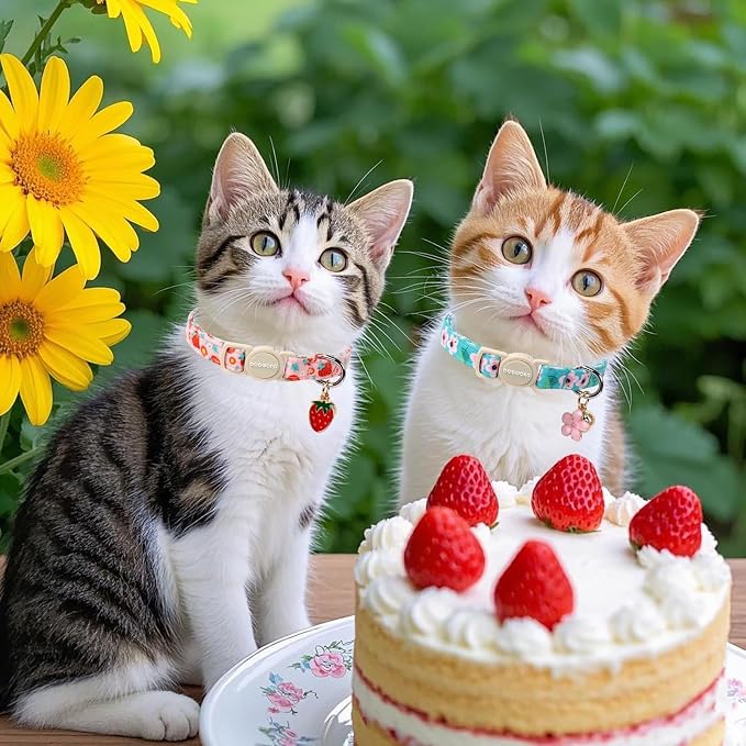 Cat Collar, 2 Pack Pink Flower Cat Collars Breakaway - Image 5