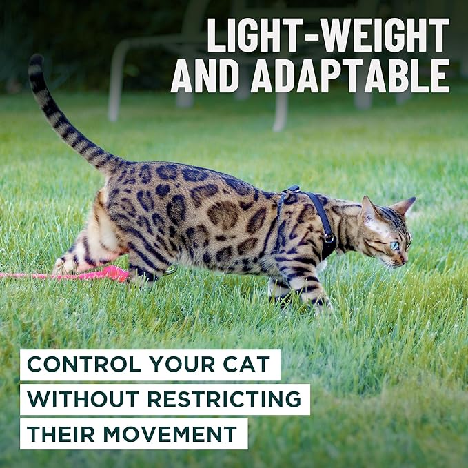 Houdini™ Escape Proof Cat Harness and Leash Set by OutdoorBengal – Tactical Vest - Image 7