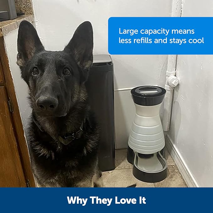 PetSafe Healthy Pet Water Station - Image 4