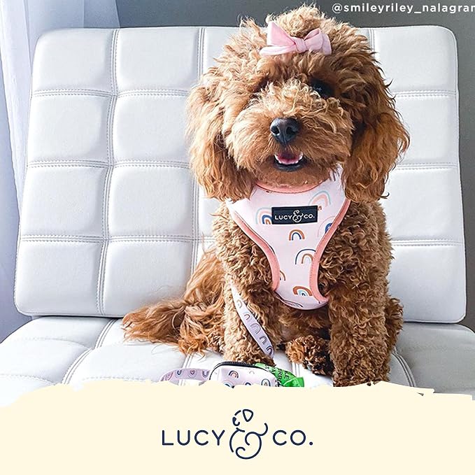 Lucy & Co. in The Clouds, Cute Reversible Dog Harness Walking Halter - Image 5