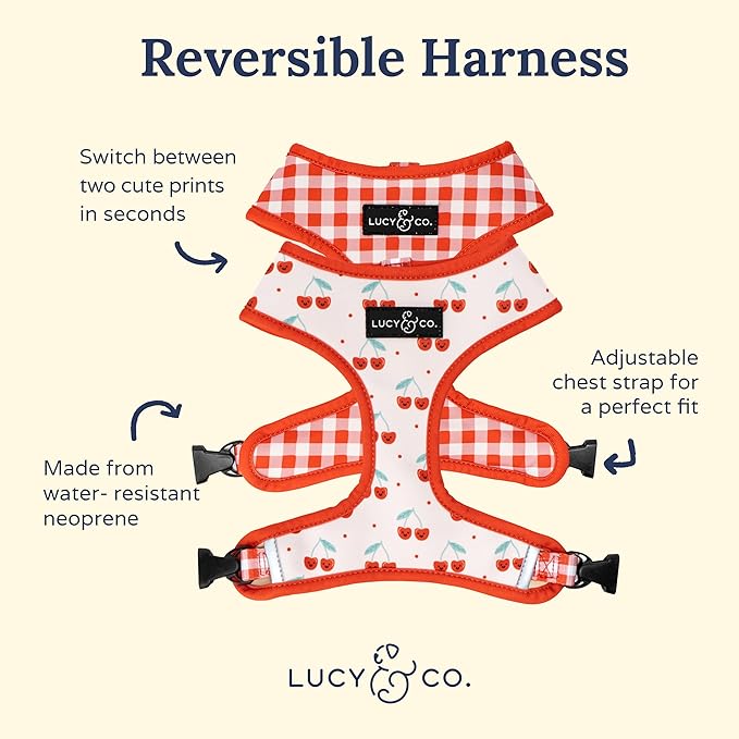 Lucy & Co. Cheery Cherries, Cute Reversible Dog Harness Walking Halter - Image 4