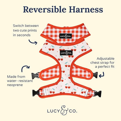 Lucy & Co. Cheery Cherries, Cute Reversible Dog Harness Walking Halter - Image 4