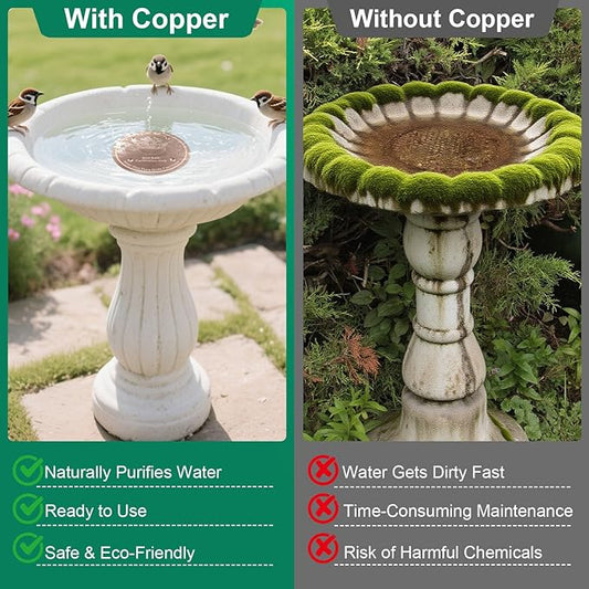 1 Pcs Copper Disc for Bird Bath | 99.99% Pure Copper Plate & Birdbath Disk | - Image 2