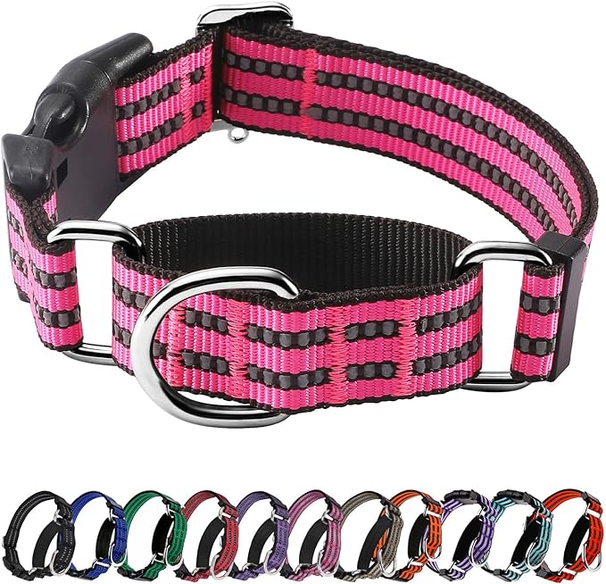 Hikiko Martingale Dog Collars Reflective Nylon Dog Collar by Hikiko