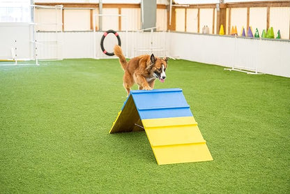 Better Sporting Dogs Agility A-Frame | Dog Agility Equipment | Dog Agility - Image 4