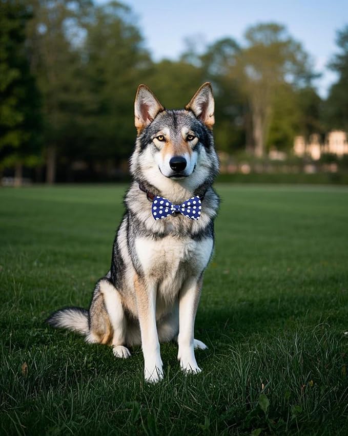 PET SHOW 10 Pack Pet Big Dogs Collar Embellishment Attachment Bow Ties - Image 7