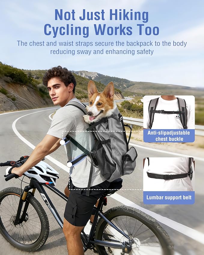 Dog Backpack for Small & Medium Dogs – 4-Layer Safety Pet Carrier - Image 2
