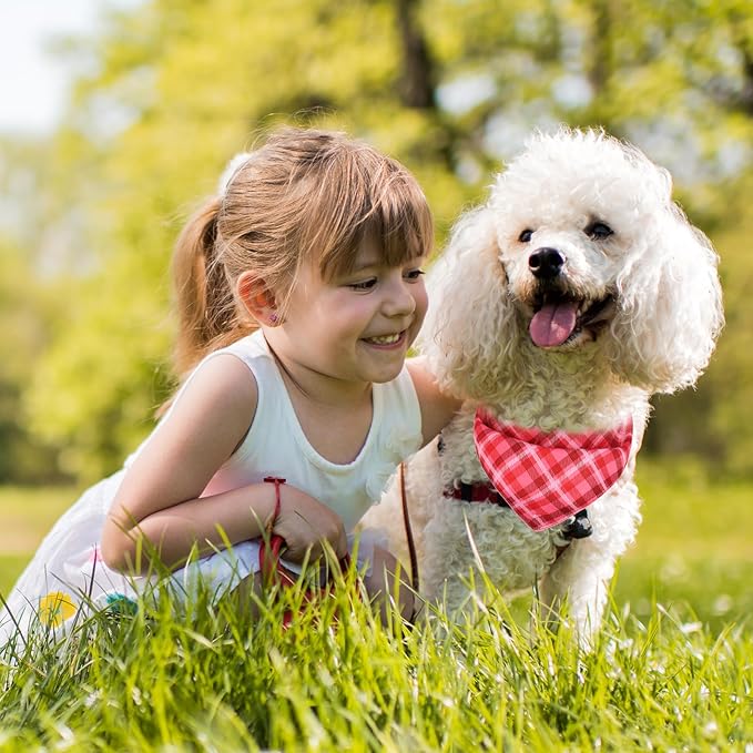 PAWCHIE Dog Bandanas Small Reversible Styles Pet Triangle Scarf Bibs - Image 2