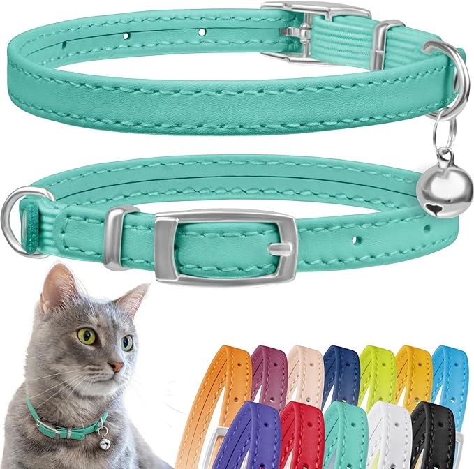 CollarDirect Leather Cat Collar by CollarDirect