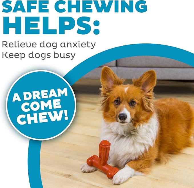 Outward Hound Dogwood Hold & Chew Durable Dog Chew Toy, Beef Scent - Image 6