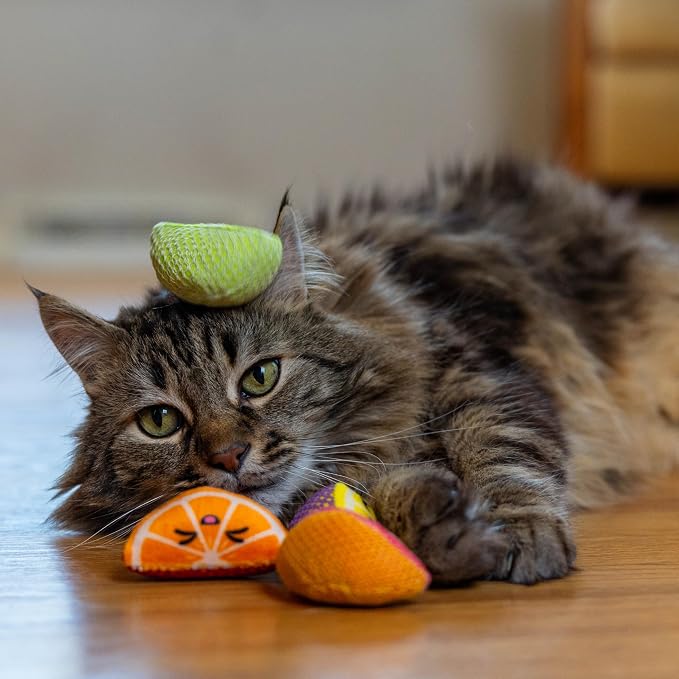 Catstages Dental Fruit Wedges 4 Pk, Soft and Textured Catnip Chew Toys That - Image 6