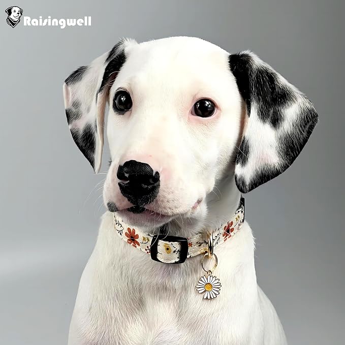 Cute Dog Collar Beige Flower Pattern - Image 5