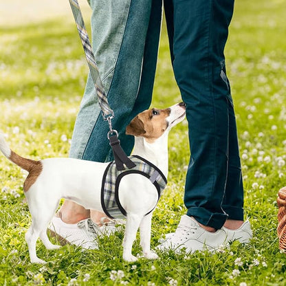 PUPTECK Adjustable Dog Harness Collar and Leash Set Step in No Pull Pet Harness - Image 7