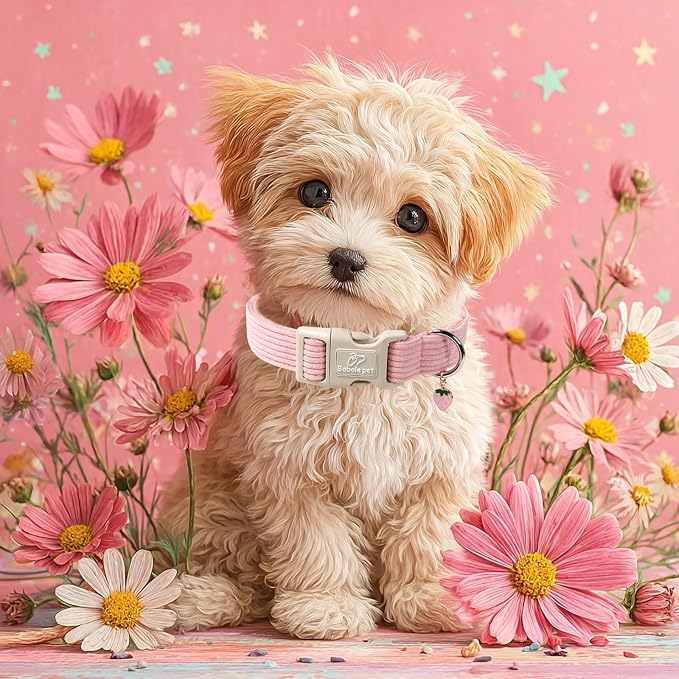 Cute Corduroy Dog Collar - Image 2