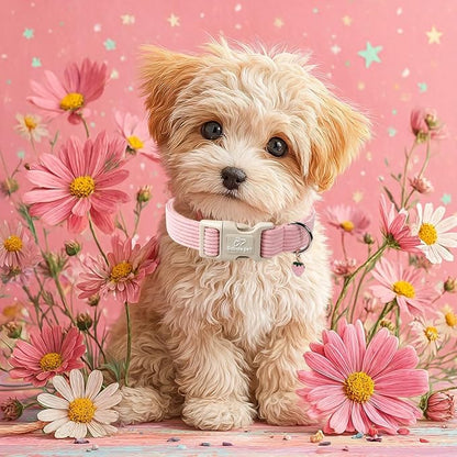 Cute Corduroy Dog Collar - Image 2