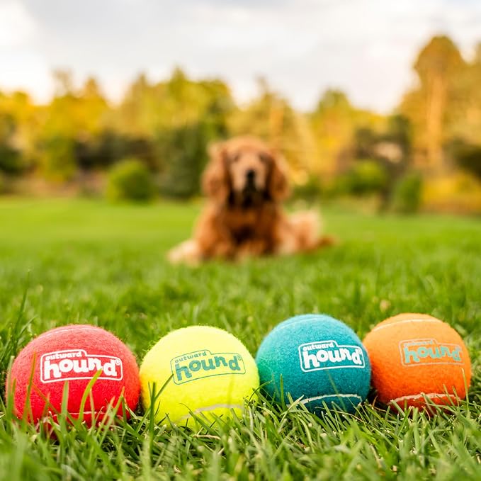 Outward Hound Squeaker Ballz – Squeaky Tennis Balls - Image 5