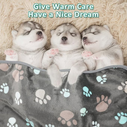 Tegeme 12 Pcs Pet Blankets Soft Fluffy Fleece Dog Cat Warm Paw Print Pattern - Image 6
