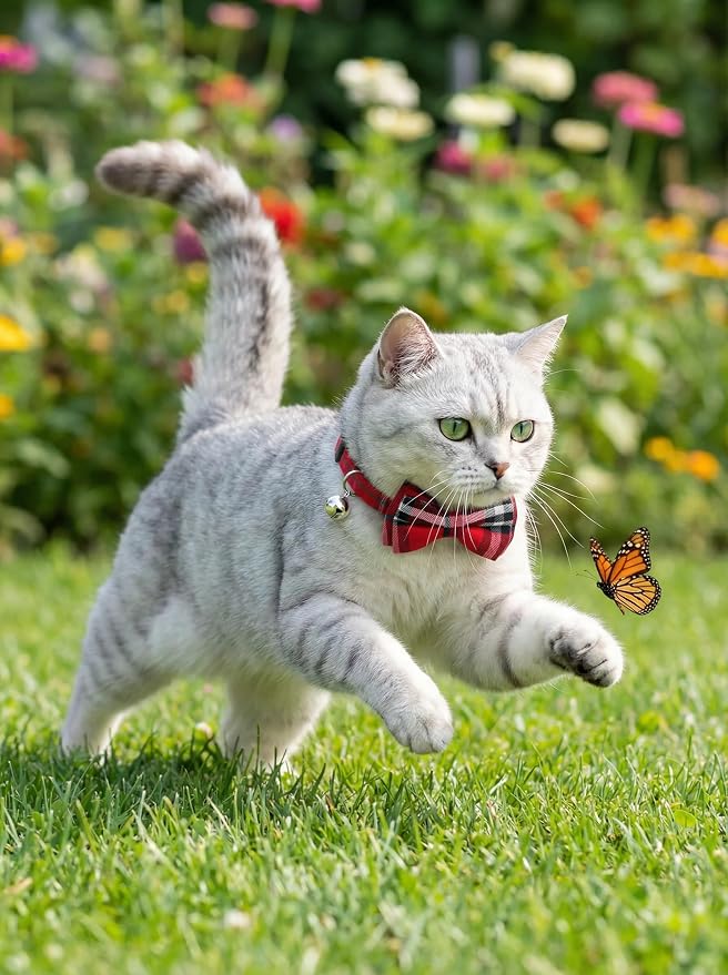 THAIN Cat Collar Breakaway - Image 5