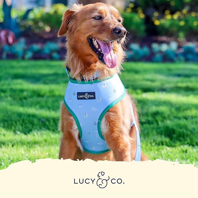Lucy & Co. Set Sail Reversible Harness, Walking Halter - Image 5