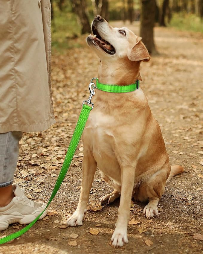 TagME Reflective Nylon Dog Collars, Adjustable Classic Collar - Image 6