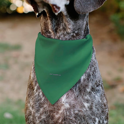 Star Wars Pet Bandana Star Wars Grogu Im All Ears Pose Green Slip On Collar - Image 5