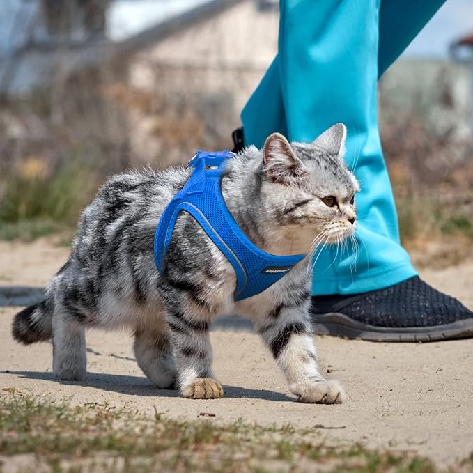PetiFine Cat Harness and Leash Set, Escape Proof Kitten Harness Reflective - Image 7