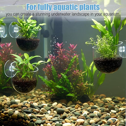 3 Pack Aquarium Plant Holder Clear Fish Tank Plant Holder Fishes Tanks Plants - Image 6