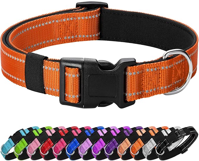 Reflective Dog Collar Padded by Penseepet