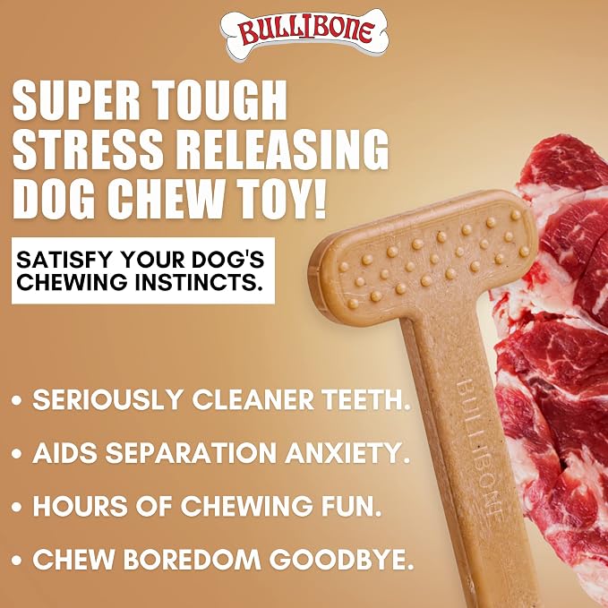 Bullibone Nylon Dog Chew Toy for Aggressive Chewers - Image 2