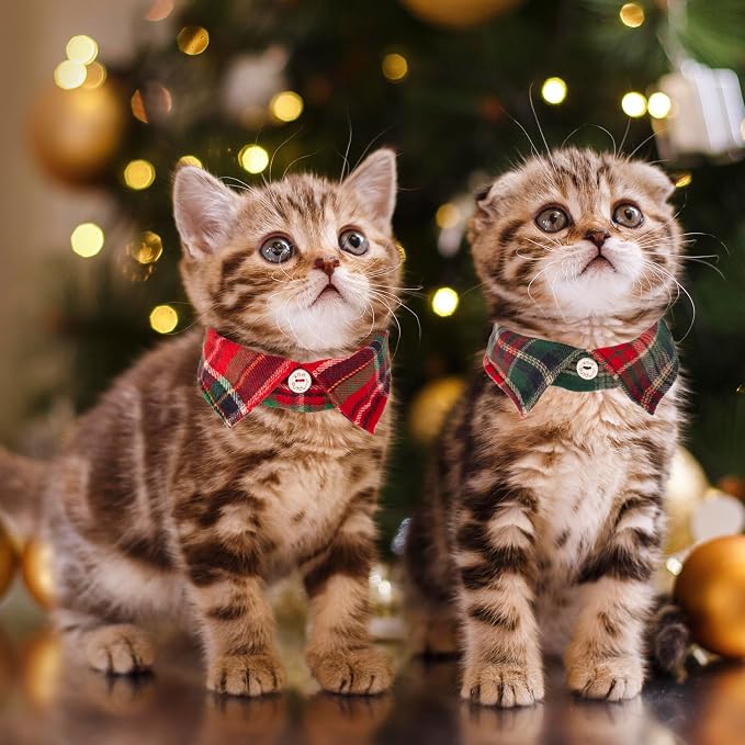 ADOGGYGO Christmas Cat Collars Breakaway - Image 2