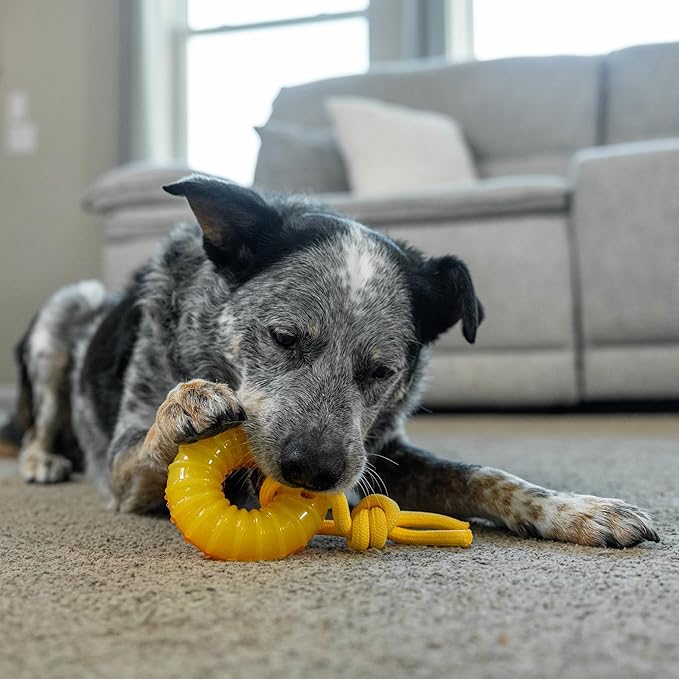 Outward Hound Gummiez Peach Ring 2-in-1 Dental Dog Chew Toy and Treat Stuffer - Image 8