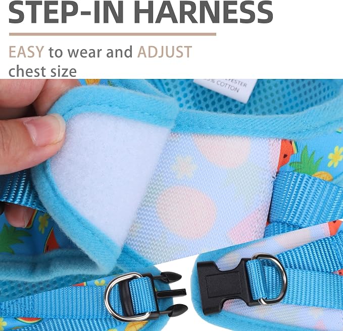 PUPTECK Adjustable Dog Harness Collar and Leash Set Step in No Pull Pet Harness - Image 3