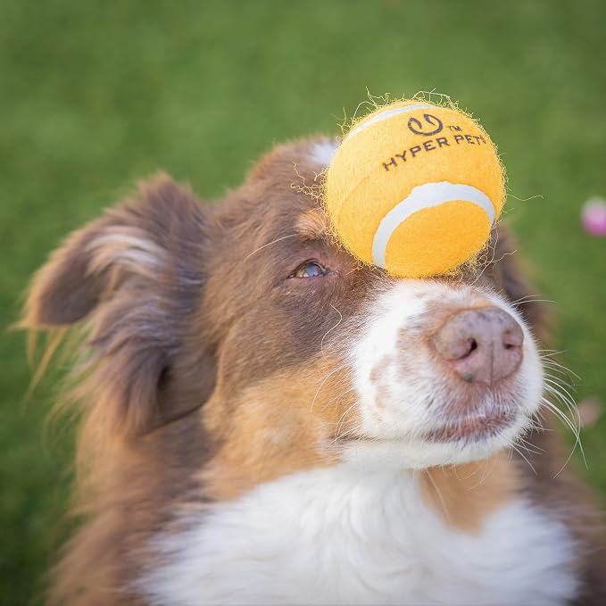 Hyper Pet Tennis Balls for Dogs Interactive Dog Toys work - Image 7