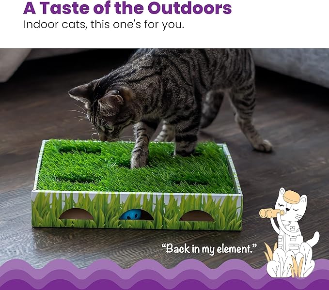 Catstages Grass Patch Hunting Box - Image 3