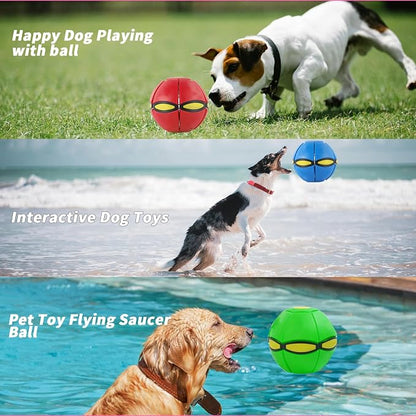 3PCS Dog Flying Disc Toy - Image 6