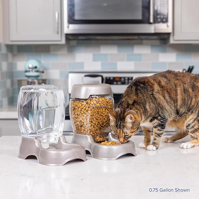 Petmate Pet Cafe Cat and Dog Gravity Water Dispenser - Image 7